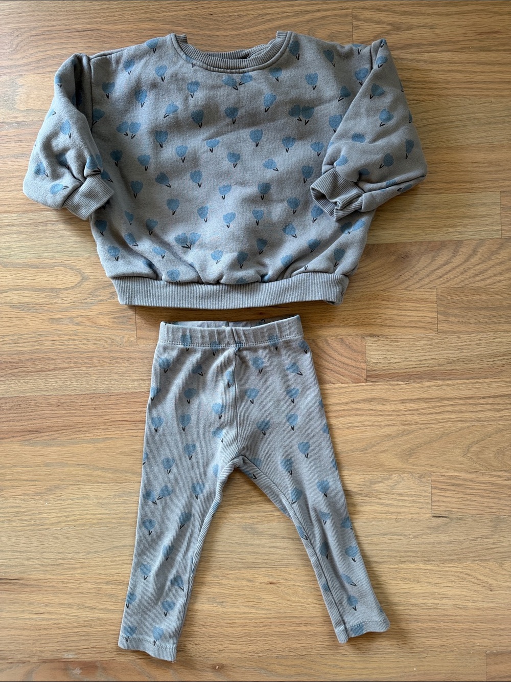 Zara gray sweatshirt and leggings set with blue heart print